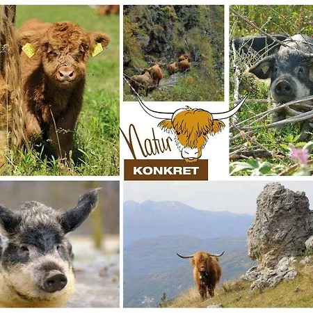 Becozy Self Check-in & Pop-up