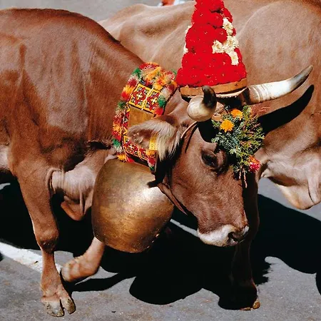 Becozy Self Check-in & Pop-up فندق زيورخ