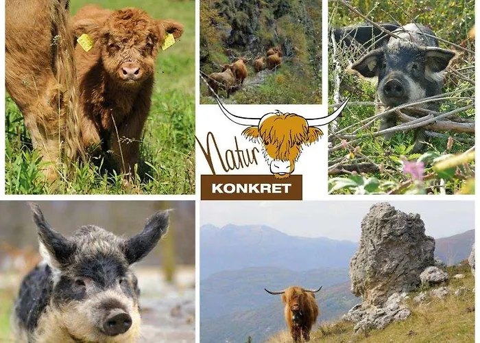 Becozy Self Check-in & Pop-up