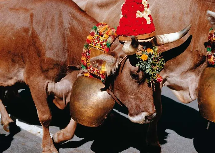 Becozy Self Check-in & Pop-up ホテル チューリッヒ